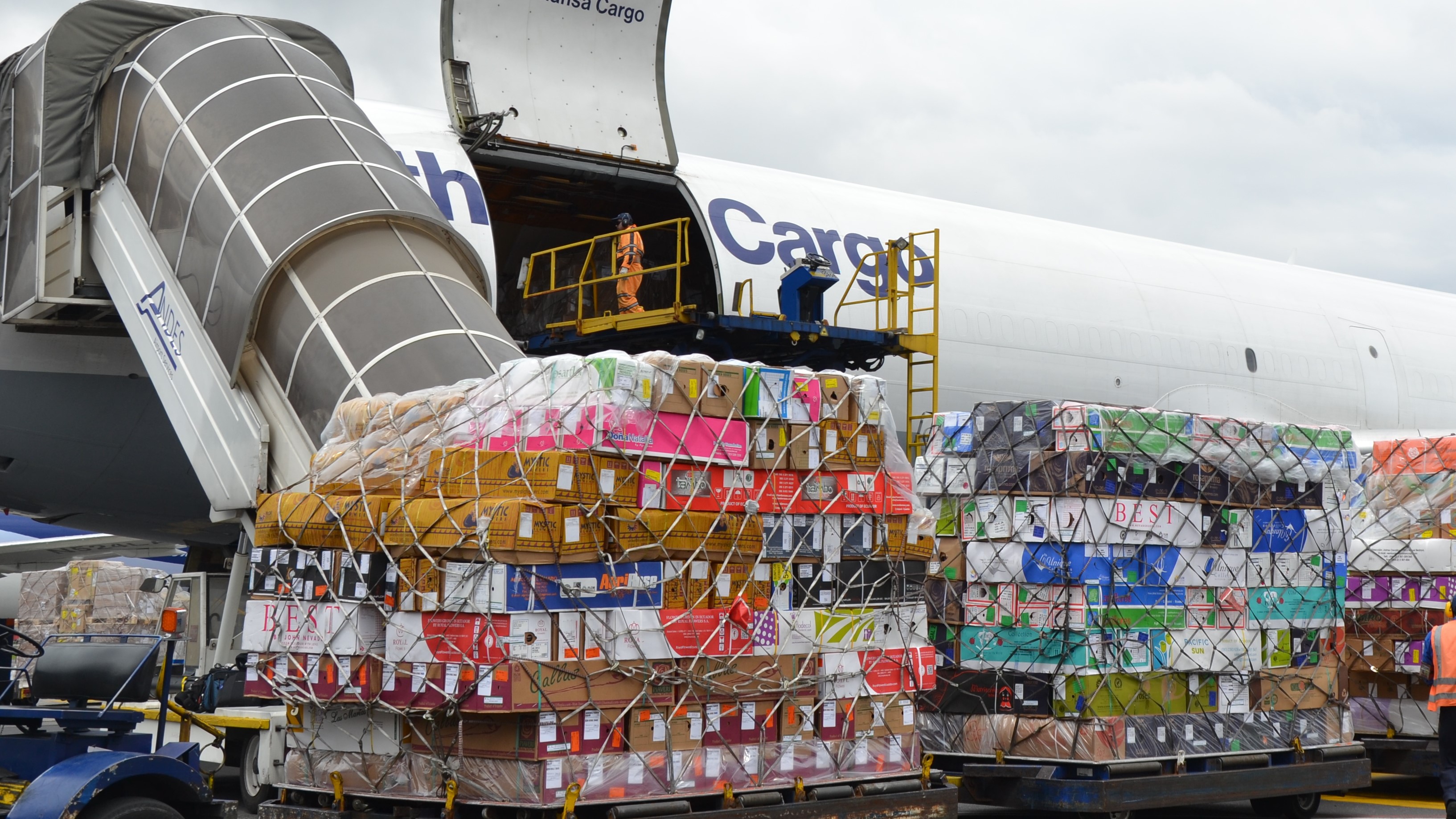 IATA reports Airlines financial and cargo update 1