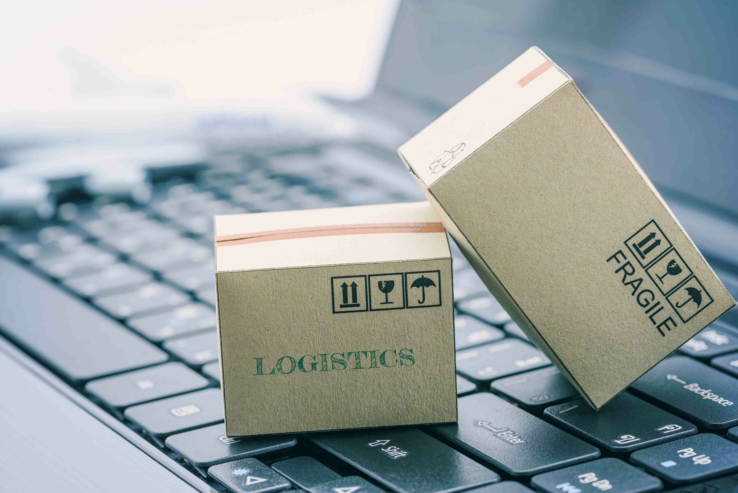 ZIM launches digital freight forwarding business Atlas Logistic Network